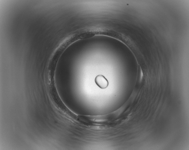 X0000066970731200603241210