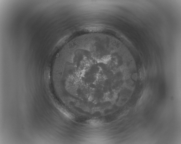 X0000066970733200603241210