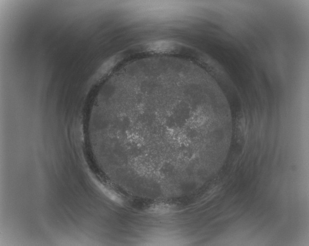 X0000066970734200603241210