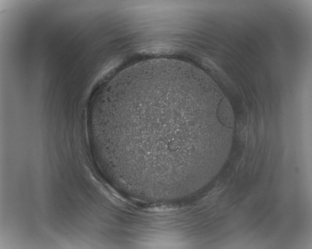 X0000066970735200603241210