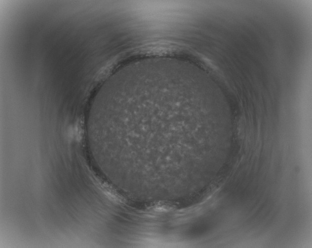 X0000066970737200603241210