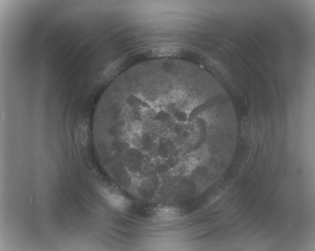 X0000066970741200603241210