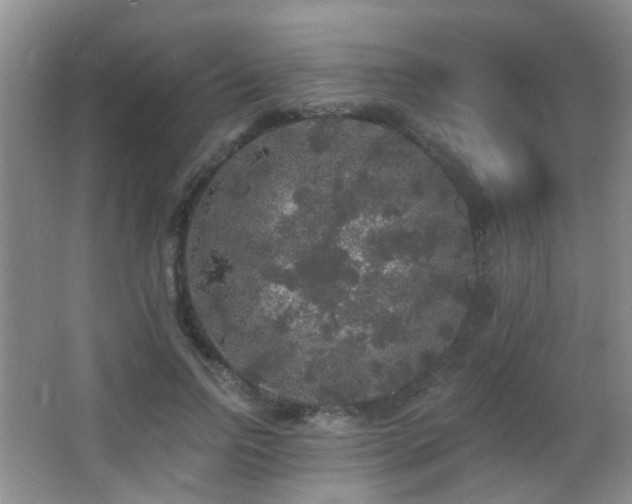 X0000066970742200603241210