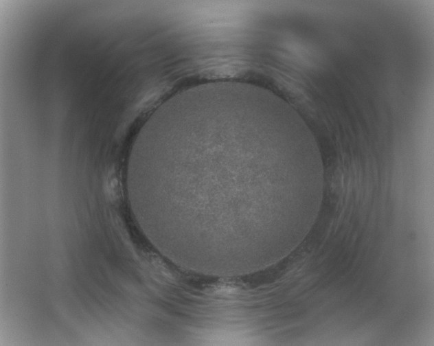 X0000066970743200603241210