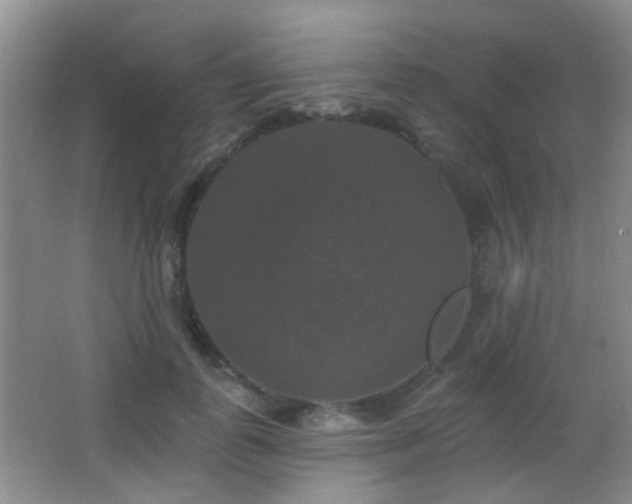 X0000066970747200603241210