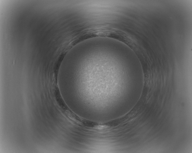 X0000066970748200603241210