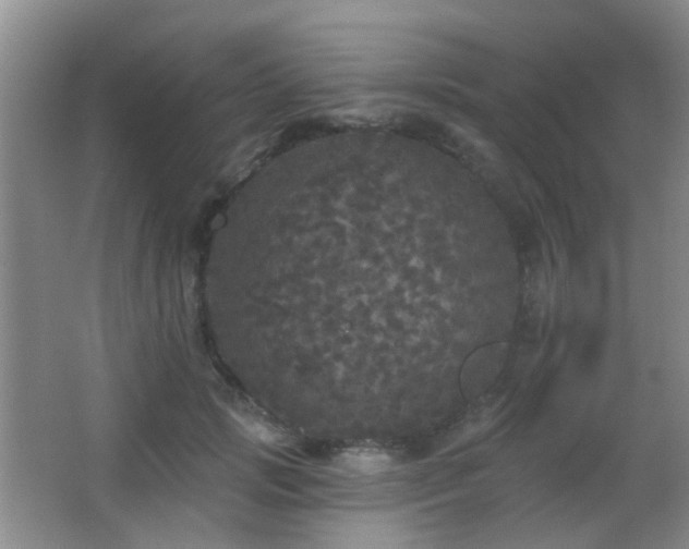 X0000066970749200603241210