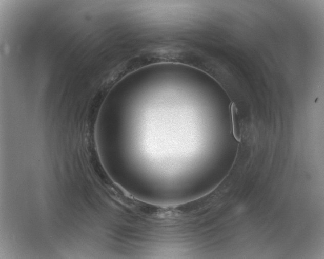 X0000066970752200603241210