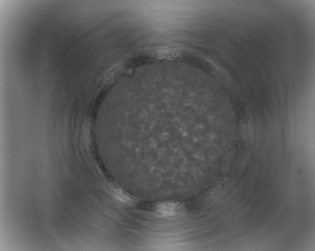 X0000066970757200603241210