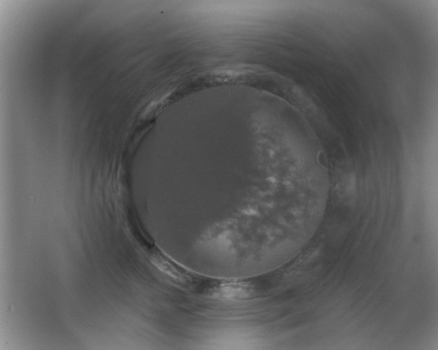 X0000066970758200603241210