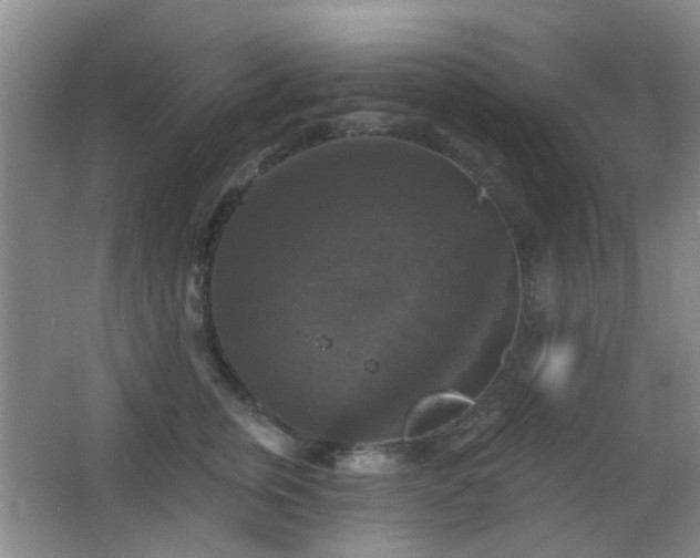 X0000066970759200603241210