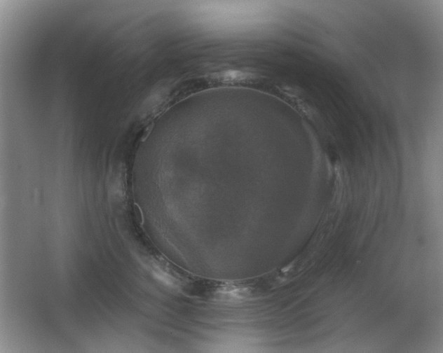 X0000066970760200603241210