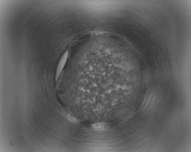 X0000066970761200603241210