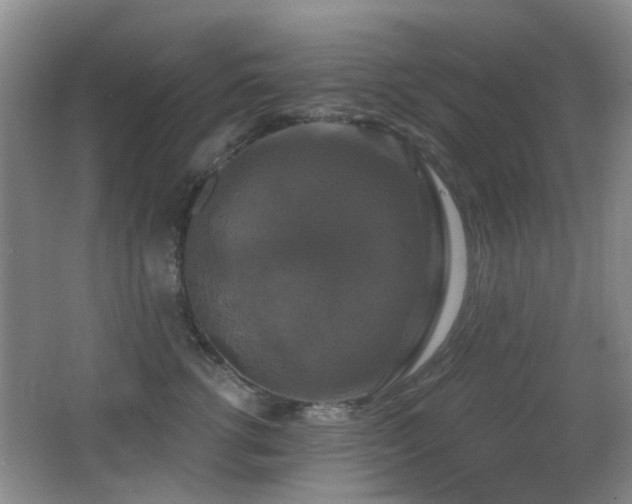 X0000066970762200603241210