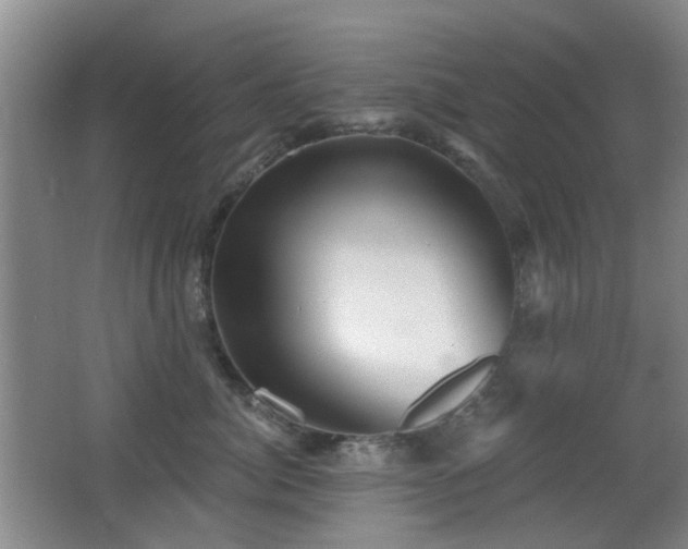 X0000066970764200603241210