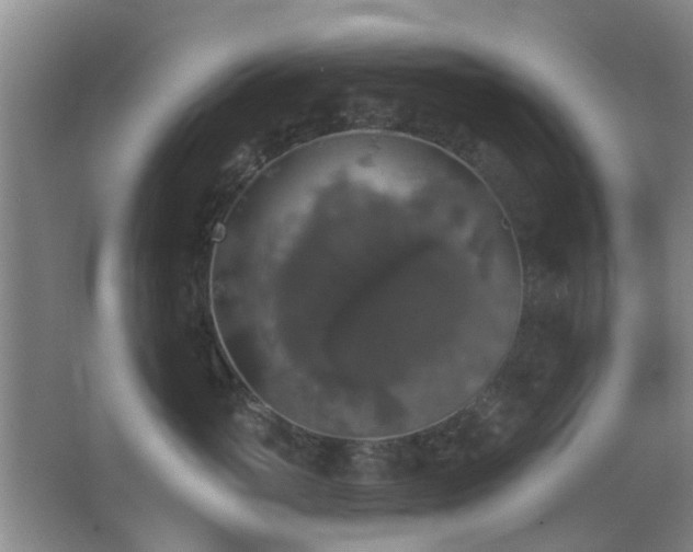 X0000066970765200603241210