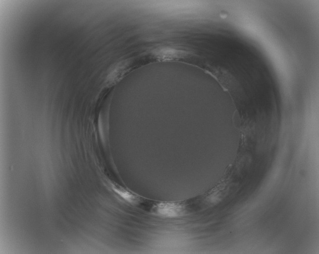 X0000066970766200603241210