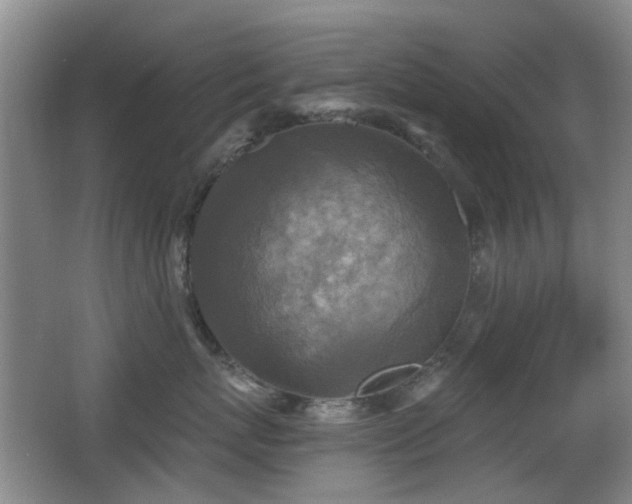 X0000066970767200603241210