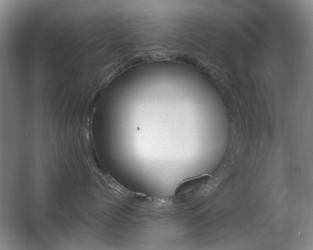 X0000066970768200603241210