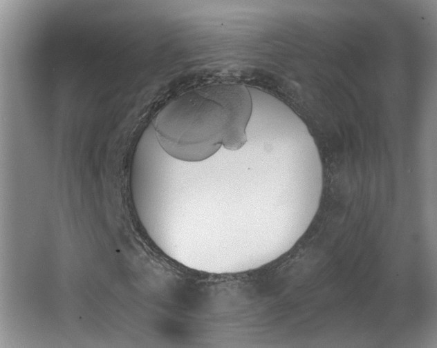 X0000066970769200603241210