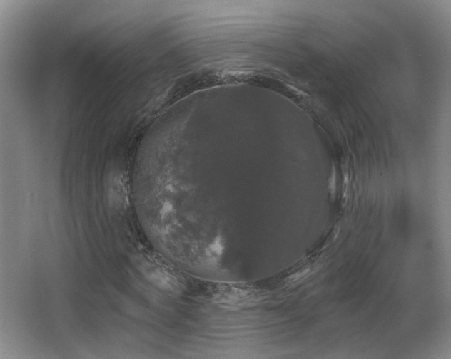 X0000066970772200603241209