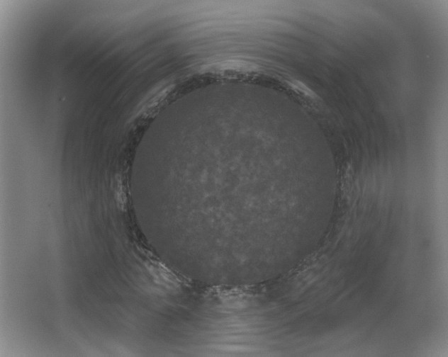 X0000066970774200603241209