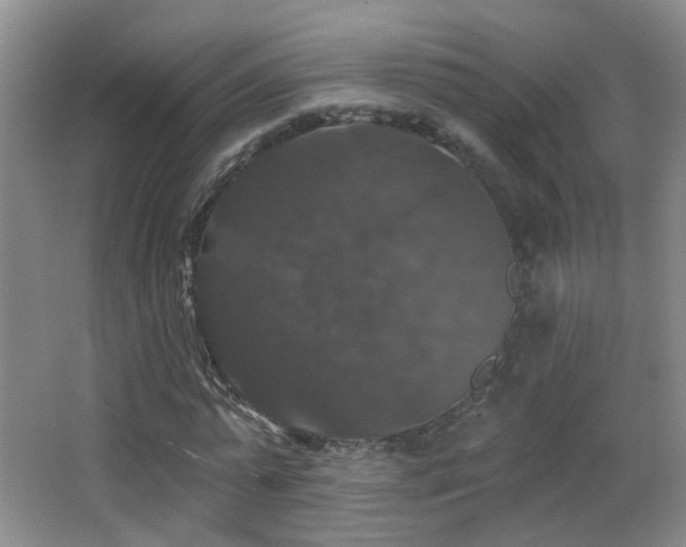 X0000066970775200603241209