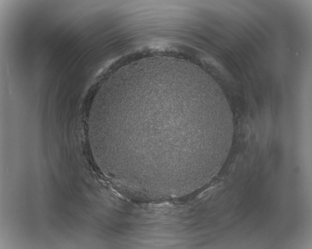 X0000066970776200603241209