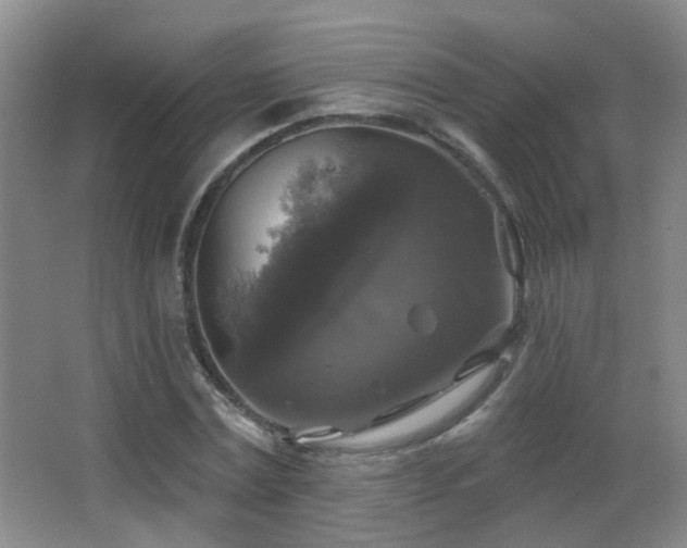 X0000066970779200603241209