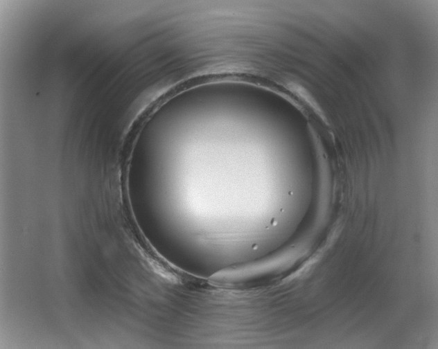 X0000066970781200603241209