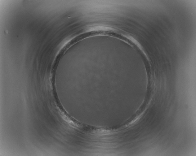 X0000066970783200603241209