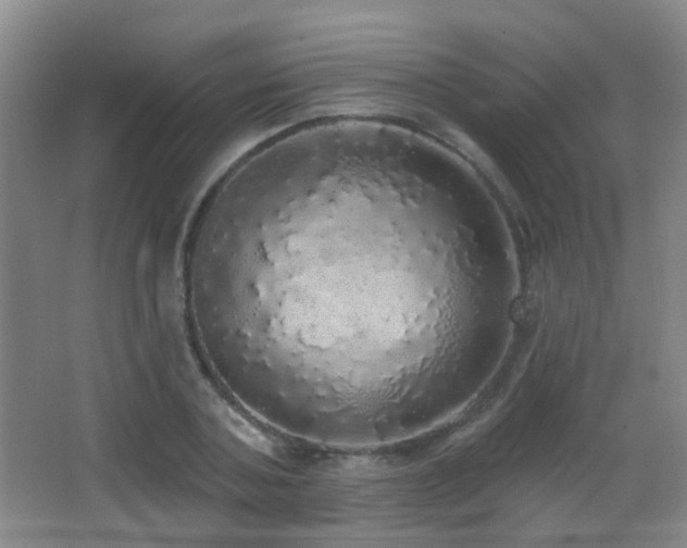 X0000066970787200603241209