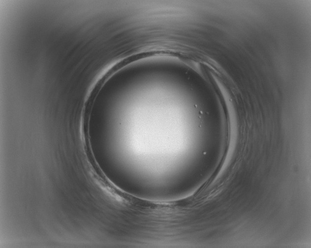 X0000066970788200603241209