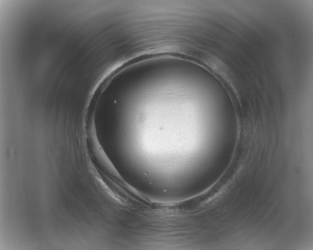 X0000066970789200603241209