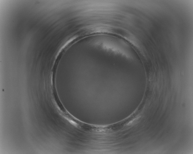 X0000066970790200603241209