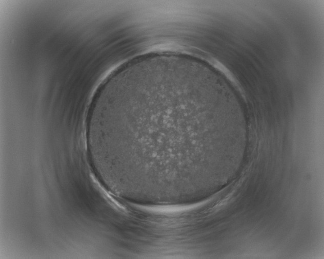 X0000066970791200603241209