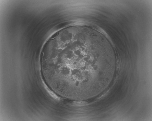 X0000066970795200603241209