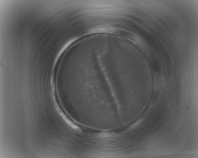 X0000066970796200603241209