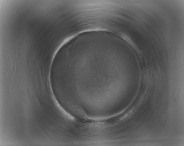 X0000066970797200603241209