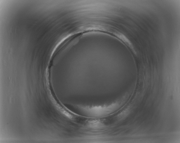 X0000066970798200603241209