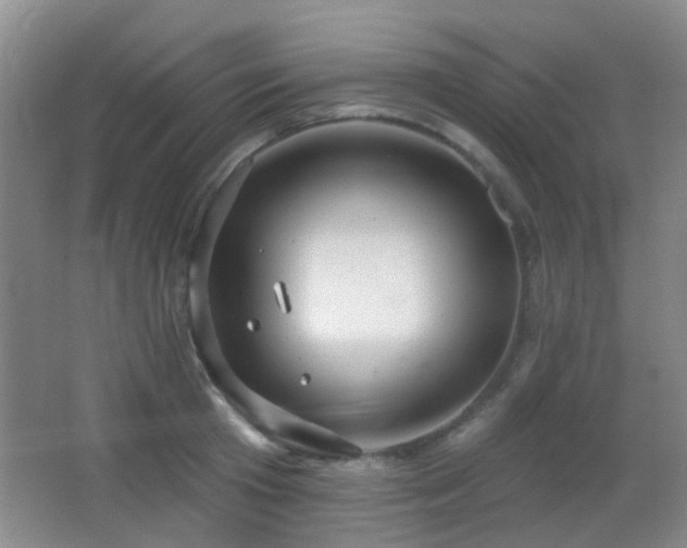 X0000066970801200603241209