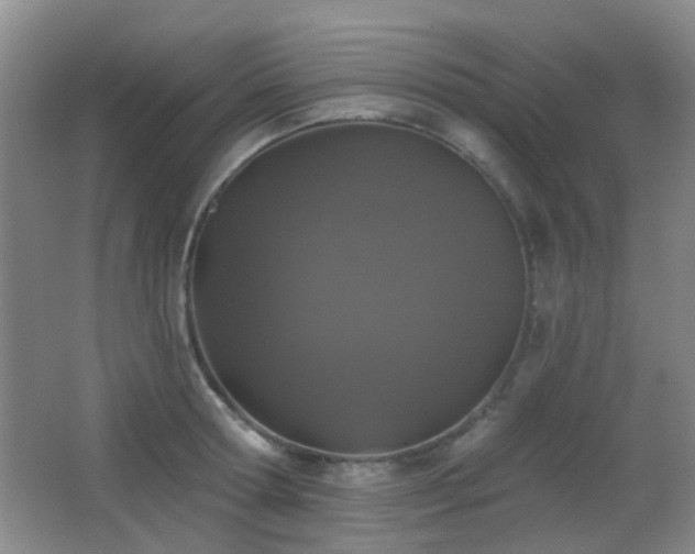 X0000066970802200603241209