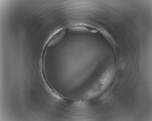 X0000066970806200603241209