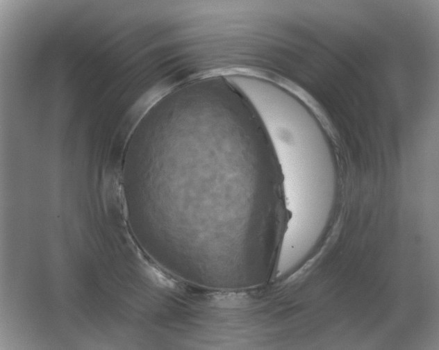 X0000066970809200603241209