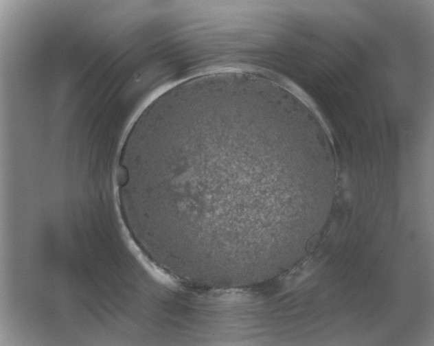 X0000066970811200603241209