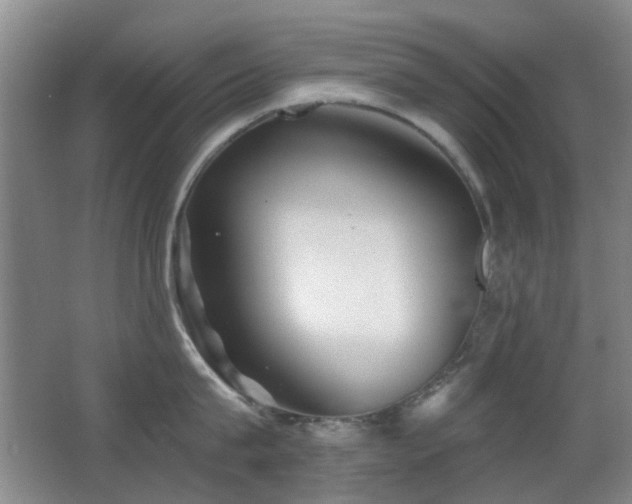 X0000066970815200603241209