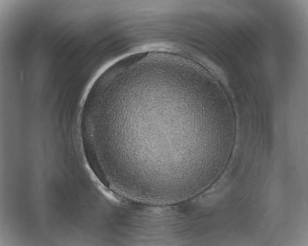 X0000066970816200603241209