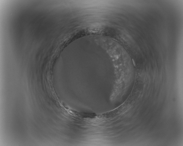 X0000066970817200603241208