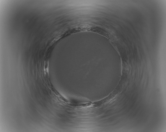 X0000066970818200603241208