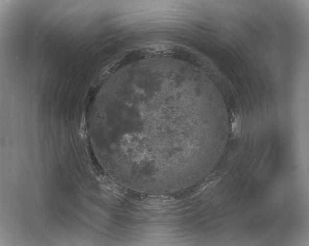 X0000066970819200603241208